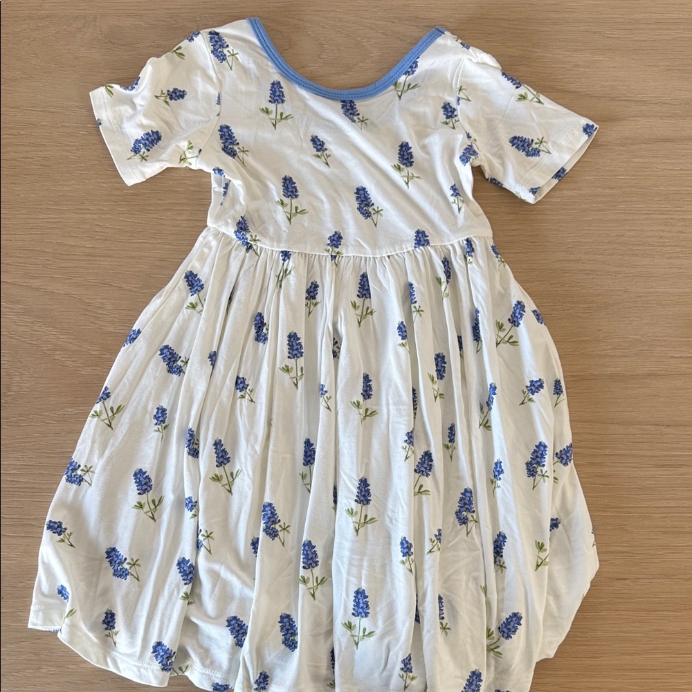 Kyte Baby SS twirl dress 4T NWOT